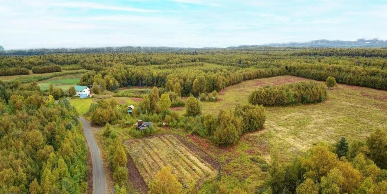 Falcon'S Nest Bed And Breakfast Talkeetna Esterno foto