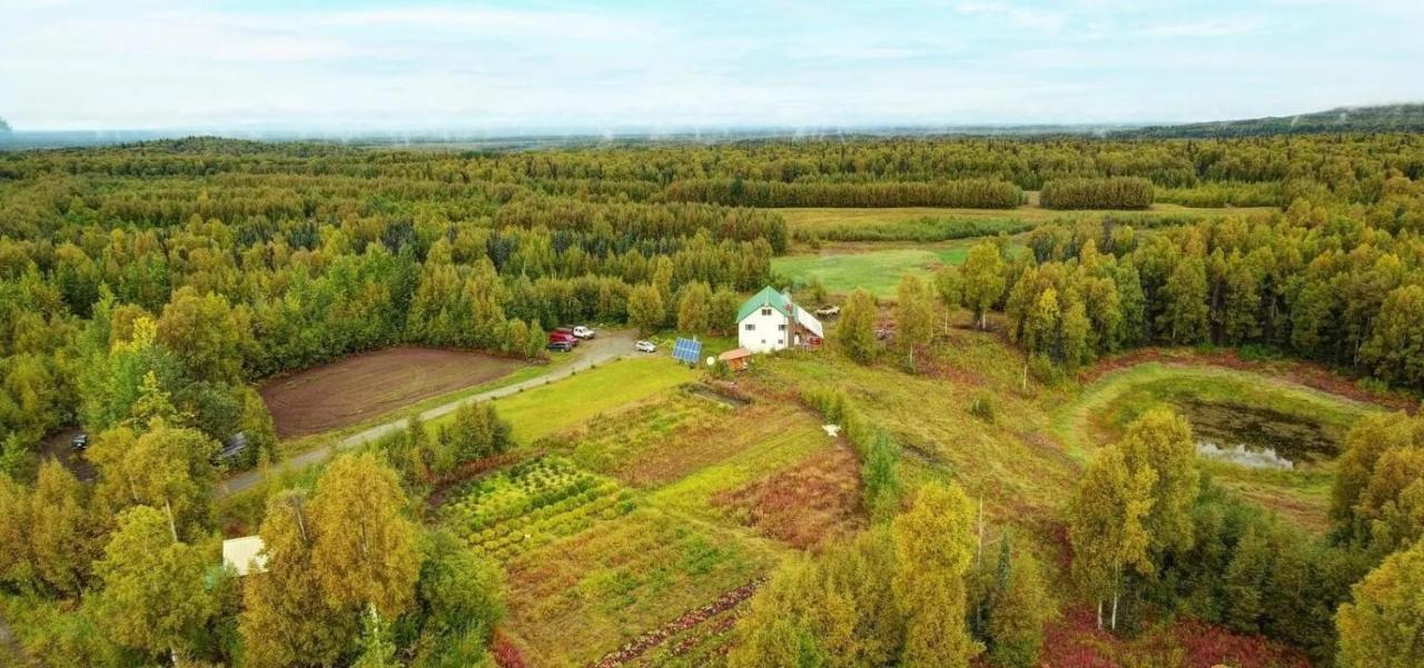 Falcon'S Nest Bed And Breakfast Talkeetna Esterno foto