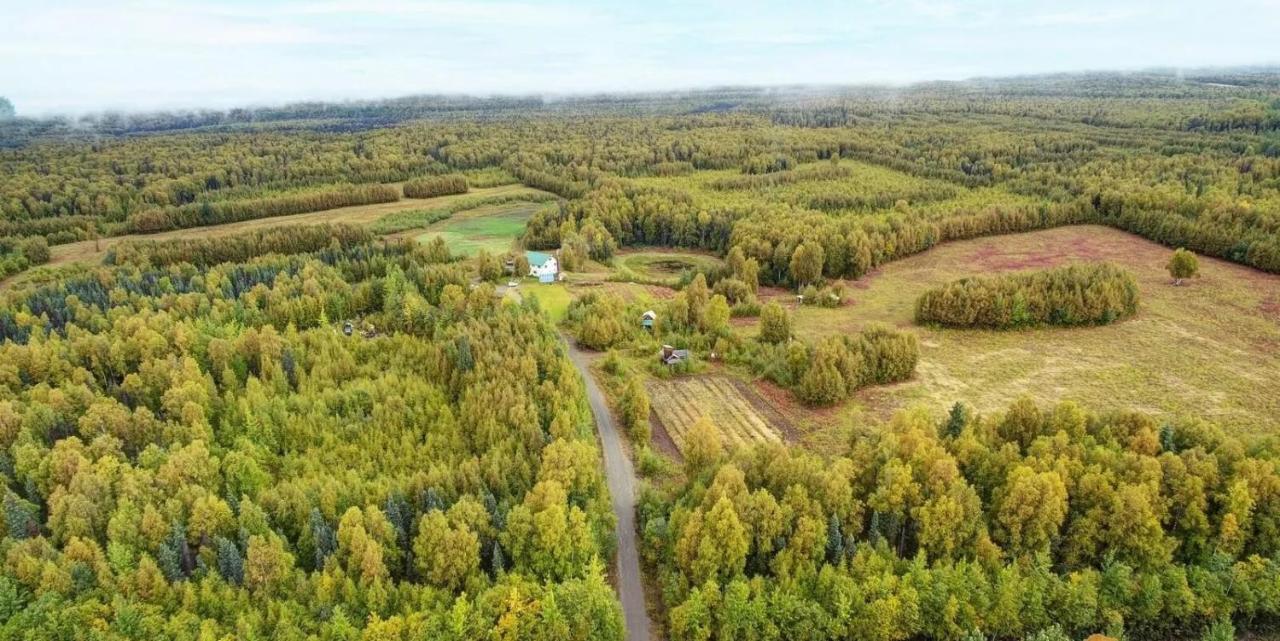 Falcon'S Nest Bed And Breakfast Talkeetna Esterno foto