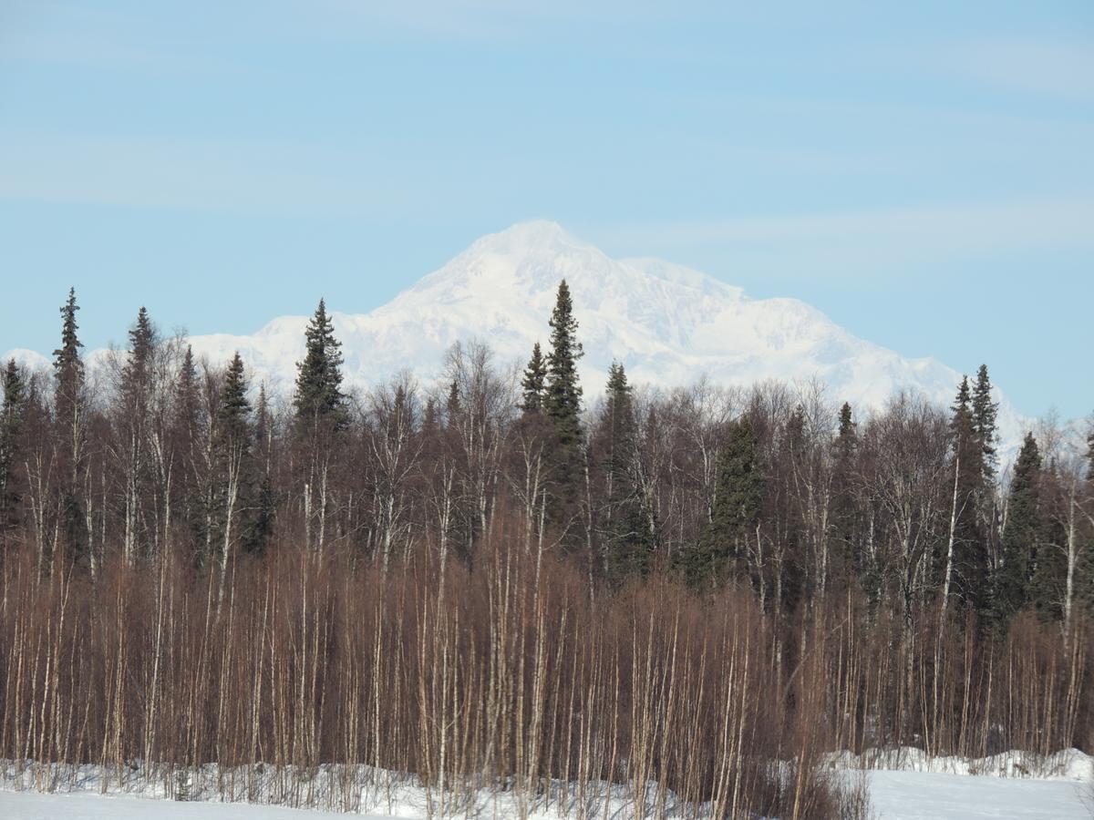 Falcon'S Nest Bed And Breakfast Talkeetna Esterno foto