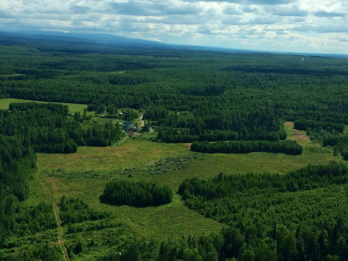 Falcon'S Nest Bed And Breakfast Talkeetna Esterno foto