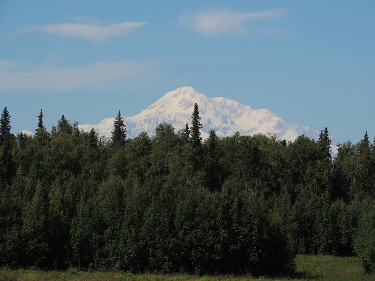 Falcon'S Nest Bed And Breakfast Talkeetna Esterno foto